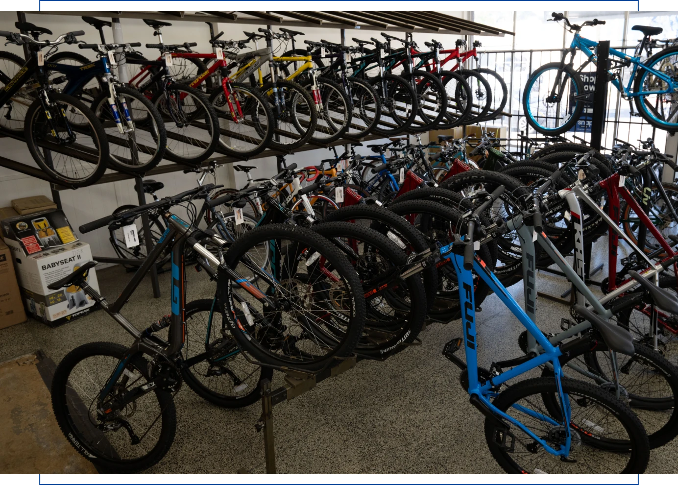 Bicycles displayed in a shop