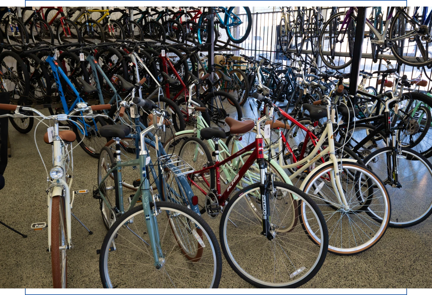 Bike store with multiple bicycles